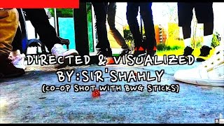 SHAHLY V  - Dogged Up Ft. BREDWINNERS SWAGG | Official Video BY: @SIRSHAHLY #svPUREHD