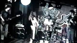 Buffalo Clover - Luck