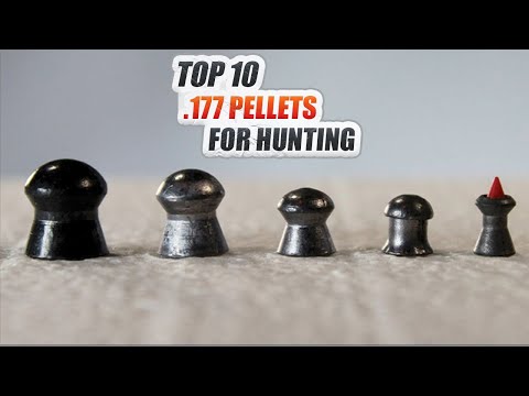 Best 177 Pellets for Hunting - Madman Review