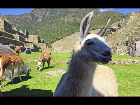 The Road Less Traveled to Machu Picchu: Travelzoo Experience