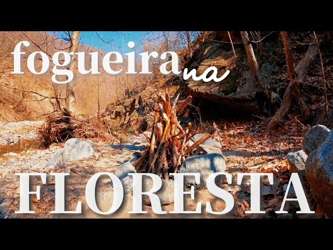 Sons da Natureza - Equilíbrio dos 4 Elementos [FOGO TERRA ÁGUA AR]