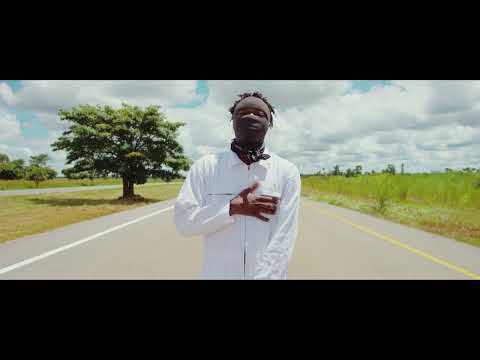 tha bees - Change (vizualizer)