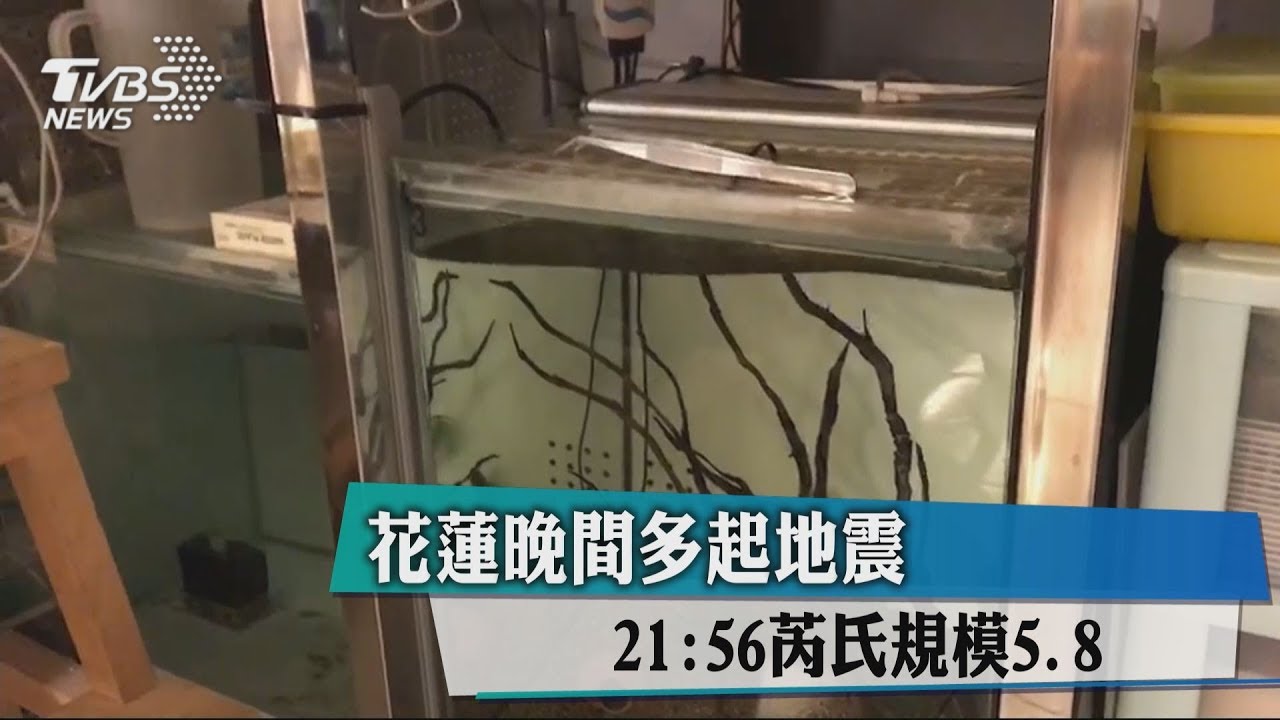 花蓮連11震! 台鐵東部列車延誤