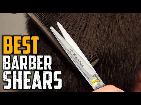 Top 10 Best Barber Shear On Amazon