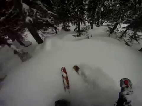 Tree run at Retallack