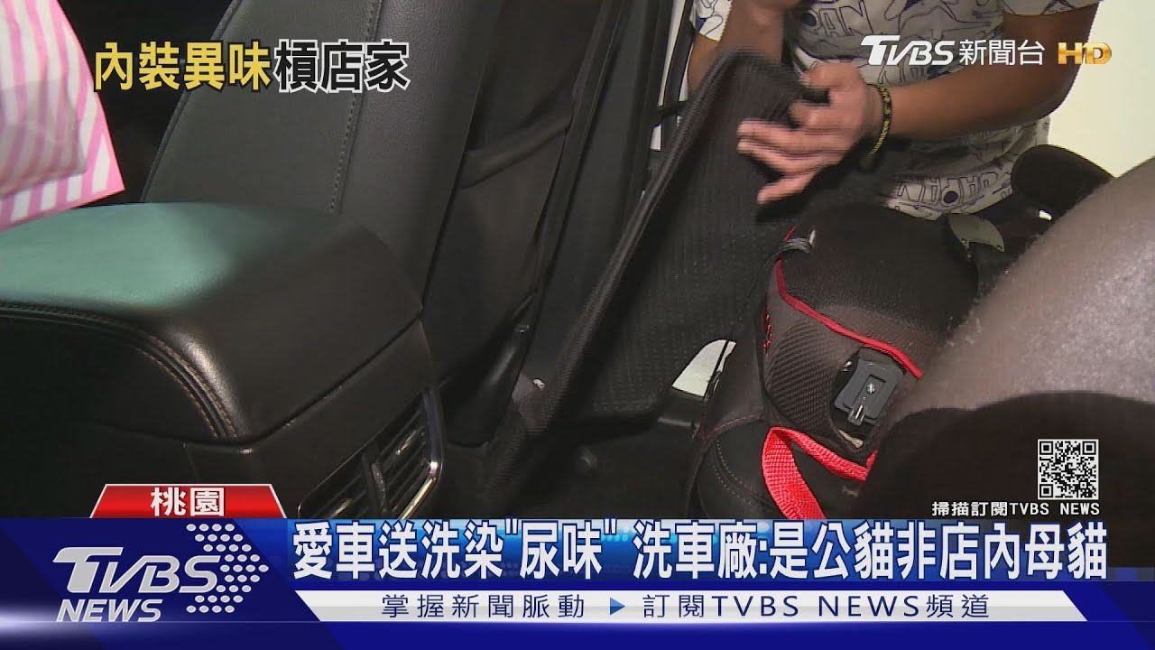 愛車送洗染「尿味」 洗車廠:是公貓非店內母貓