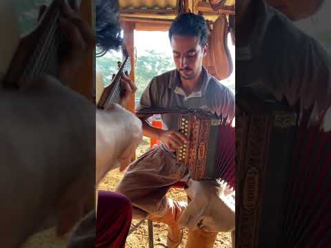 GAITA MISSIONEIRA - 🎵🧉 “RINCÃO DOS MACIEL” REDUZINO MALAQUIAS - Jorge Guedes & Família