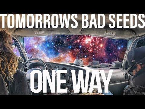 Tomorrows Bad Seeds - One Way (Official Music Video)