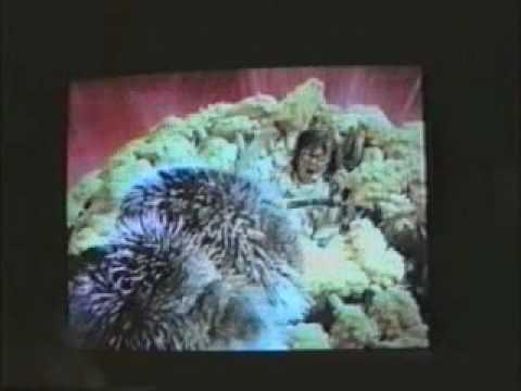 Honey, I shrunk Mark & Peter...