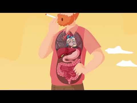 Breathe Easy, Live Healthy! See how smoke affects your lungs and overall well-being