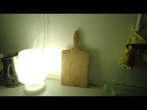 MongoTV_8009 - MIN NYTÅRSAFTEN 2021 - Del 3 - Venter På Dronningens Nytårstale 2021