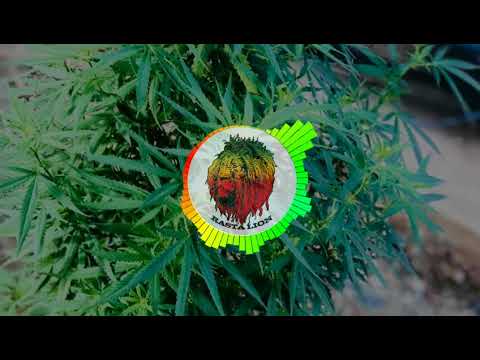 DJ WYSH x ROCKSTAR REGGAE REMiX {Zik'2018}