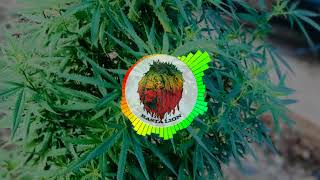 Download lagu DJ WYSH x ROCKSTAR REGGAE REMiX {Zik'2018} mp3 Download lagu DJ WYSH x ROCKSTAR REGGAE REMiX {Zik'2018} mp3