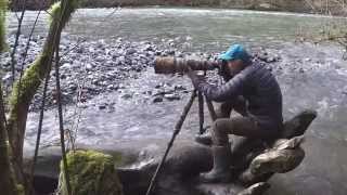 "Keep It Wild" Ep. 1 - In Search of The Bald Eagle