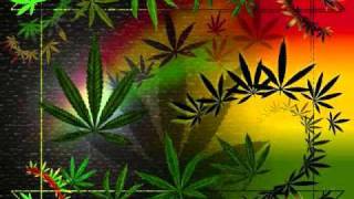 Real Story - Alborosie