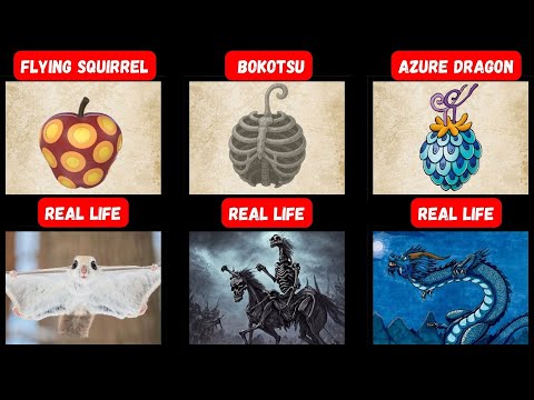 All Zoan-Type Devil Fruits in One Piece (Real Life)