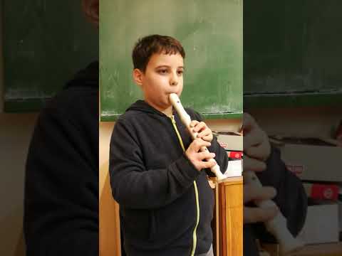 Tulipán Barnabás videója