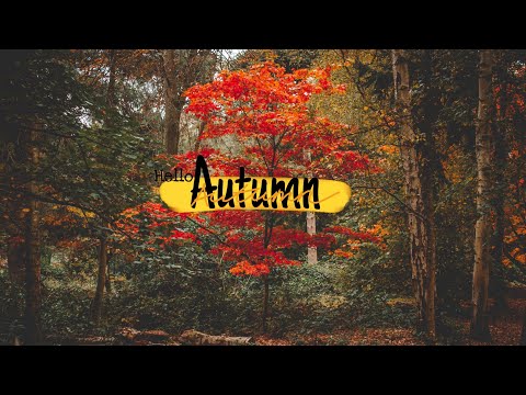Autumn nature 🍂 |autumn season | sending Earth ~