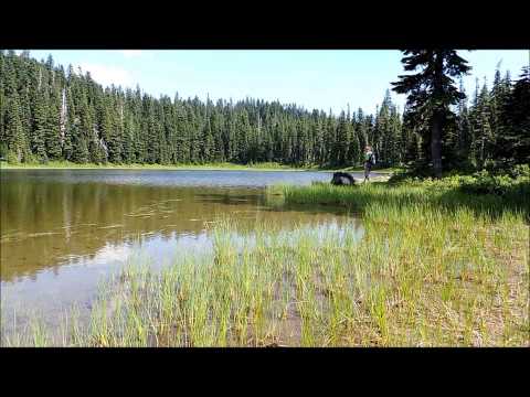 Indian Heaven Wilderness Area