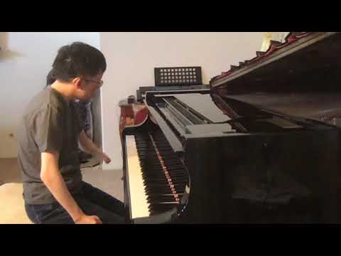 Wayne Yang - Frederic Chopin: Nocturne in E minor, Op. 72 No. 1