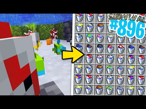 FARM SEMPLICE di PESCI TROPICALI - Minecraft ITA SURVIVAL #896