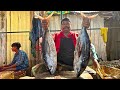 KASIMEDU 🔥 SPEED SELVAM | YELLOW FIN TUNA FISH CUTTING VIDEO | IN KASIMEDU | FF CUTTING 🔪