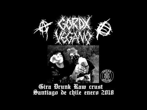 Gordx vegano vivo en Santiago de chile