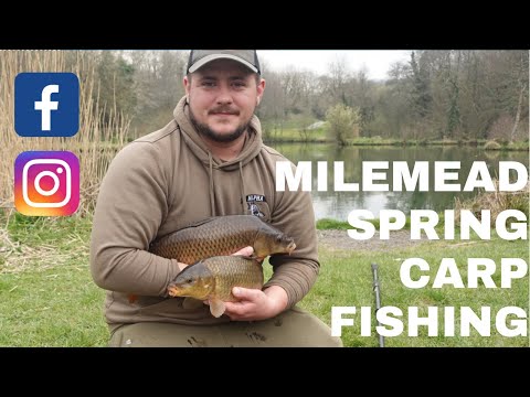Milemead Fishery, Spring Carp Fishing, Tavistock, Devon. Carp fishing 2022