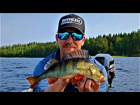 UUSI JÄRVI UUDET KUJEET | VAJAA 10KG AHVENTA IISVEDELTÄ ANOPPILASTA!