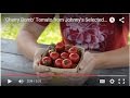 Video for Cherry Bomb