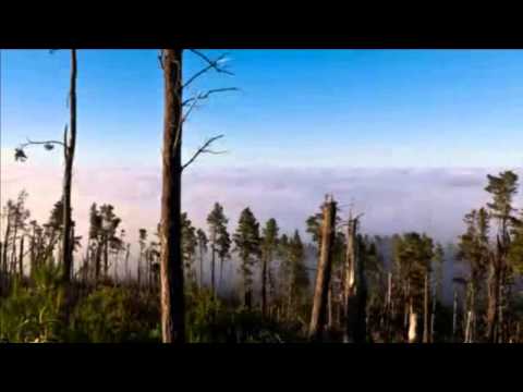 40 Manantial de inspiración - Un toque de tu gloria