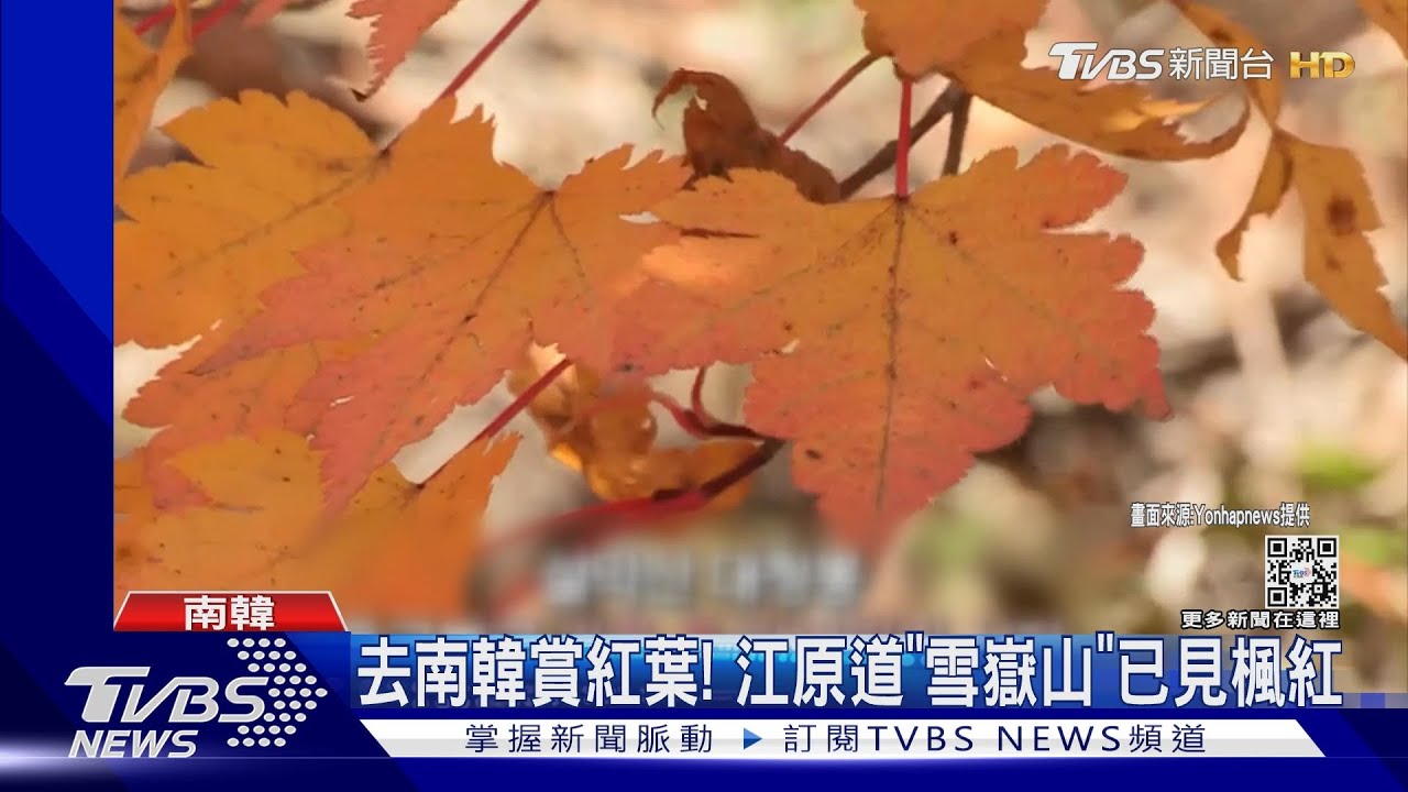 到南韓賞楓吧!入秋氣溫驟降 江原道雪嶽山已見楓紅
