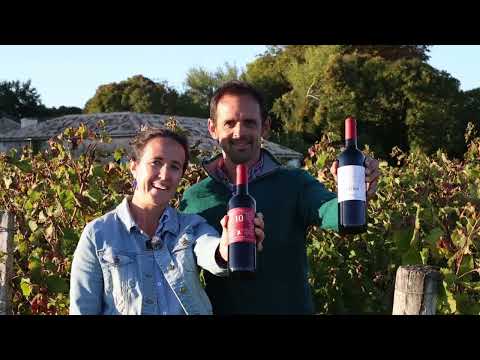 Coeur Local video thumbnail