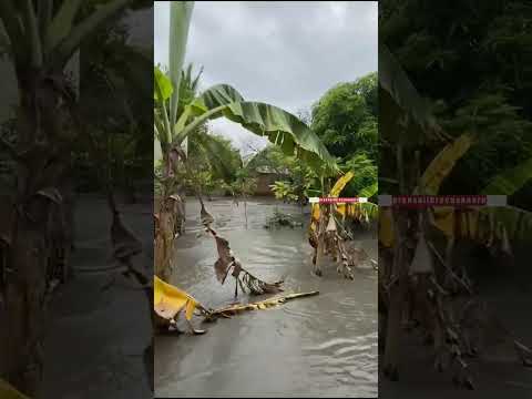 Inundaciones del río Casanare en la vereda Pueblo Nuevo de Hato Corozal 