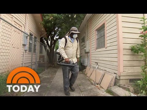 Zika Virus Fears Grow, Now 15 Cases In Miami | TODAY