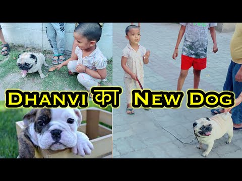 Dog 🐶 के साथ Dhanvi ने क्या किया 😱😳😂🤣🤣पूरा Vlog देखिए
