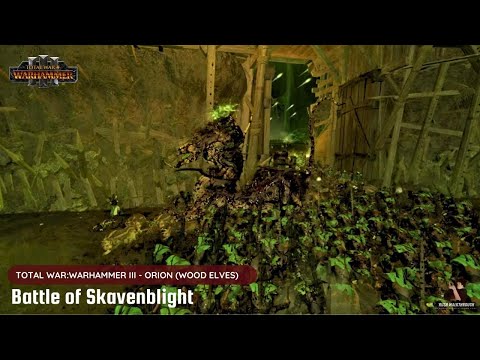 Steam Community :: Video :: Total Warhammer 3 IE Wood Elves (Talsyn ...