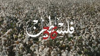 أصل الحكايه فلسطين٣٦