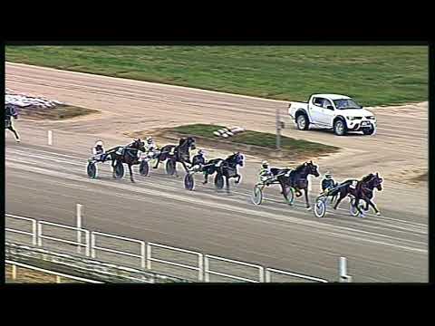 Trotto 31/05/2020 - 10ª corsa