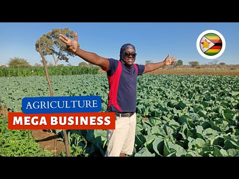 Meet Zimbabwe's Millionaire Farmer, Thriving Agribusiness