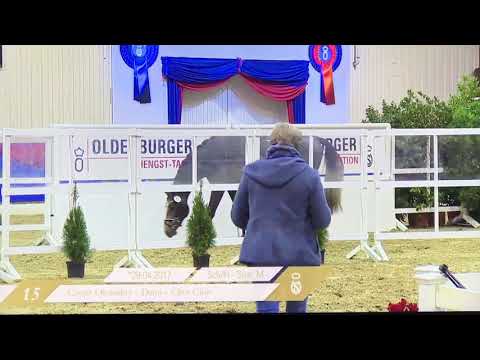 Chilli boy Maxx by Cornet Obolensky x Dark Chocolate Maxx/ Darco