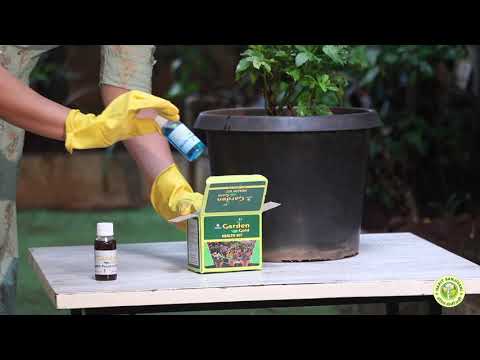 Harit Sanjivani Garden Gold Health Kit