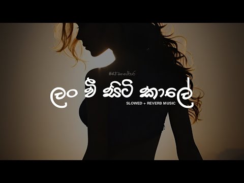 ලං වී සිටි කාලේ | Lanwee Siti Kale | Slowed + Reverb