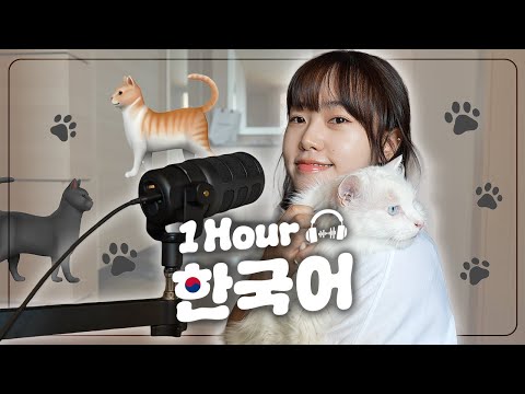 【1-Hour Korean Listening】 나와 고양이 (Me & Cat) ♥ | 1시간 한국어 듣기 팟캐스트