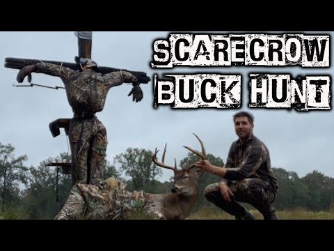 Scarecrow Buck Hunt