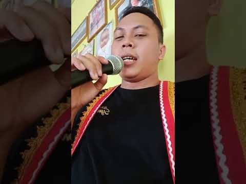 lalahey spitfire cover jowil