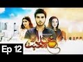 Khuda Aur Mohabbat | Season 2 - Episode 12 | Har Pal Geo
