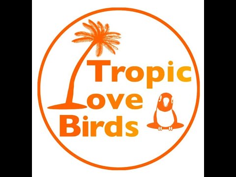 高中正義　虹伝説　The Rainbow Goblins Story~TropicLoveBirds