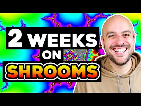 Microdosing MAGIC Mushrooms (Psilocybin): My 2-Week Psychedelic Update | The Good AND The Bad!