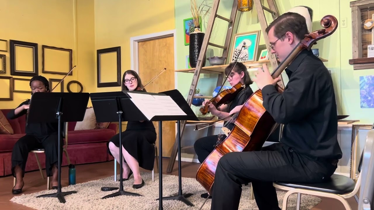 Promotional video thumbnail 1 for Dade City String Quartet